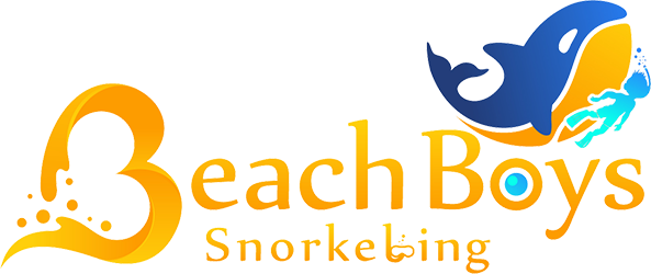 Beach Boys Snorkeling